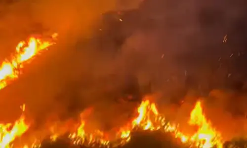 Fogo na BR-101: incêndio em Itapema pode interditar rodovia