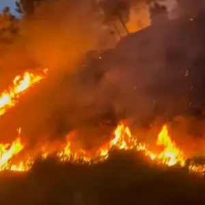 Fogo na BR-101: incêndio em Itapema pode interditar rodovia