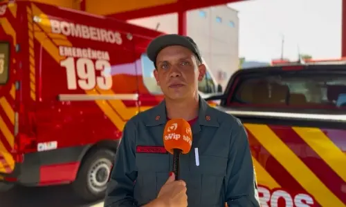 Bombeiros registram aumento no número de ocorrências de animais peçonhentos em residências de Tijucas