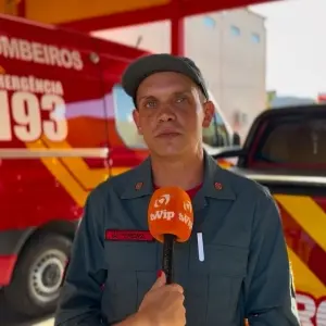 Bombeiros registram aumento no número de ocorrências de animais peçonhentos em residências de Tijucas