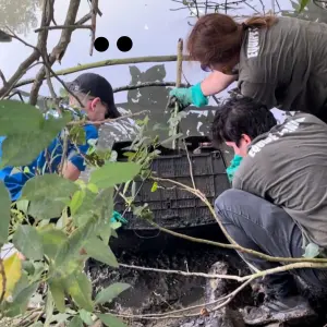 Ação “Todos Pelo Rio Camboriú” promove limpeza no dia Mundial da Água