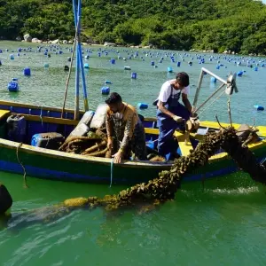 Bombinhas avança em projeto para se tornar Destino Turístico Inteligente