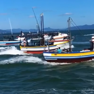 Adrenalina: Bombinhas sedia Corrida de Embarcação a Motor