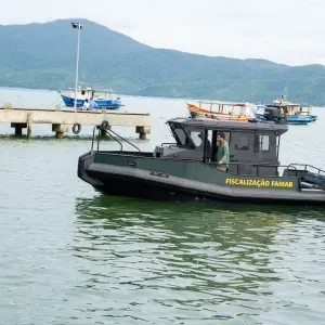 Praia acessível apenas por barco recebe plantio de árvores nativas e ação de limpeza
