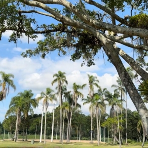 Virada no tempo: Após calorão, previsão indica chuva e queda de temperatura