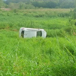 Mulher capota carro após colidir com capivara na SC-410 em Canelinha