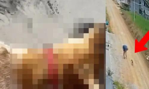 Crueldade: cachorrinha é envenenada e suspeito preso após imagens divulgadas