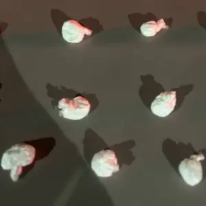 Apreendidas 11 buchas de cocaína em Tijucas após suspeitos fugirem de abordagem