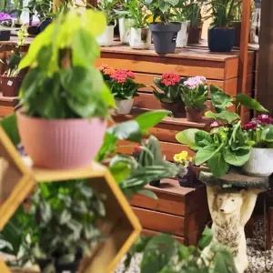 Itinerante Garden Center é reinaugurado e ganha novos espaços