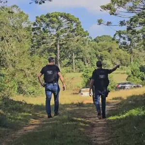 Rastros de suspeito de feminicídio em Canelinha levam polícia a área de mata isolada