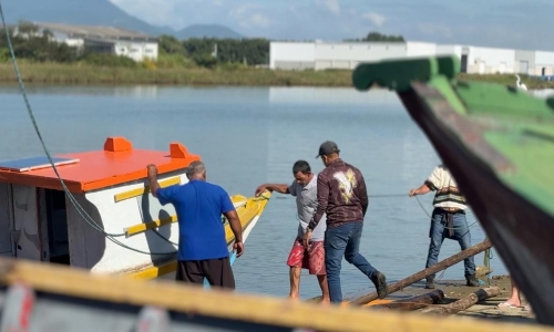 Temporada da pesca da tainha inicia dia 1º de maio em Santa Catarina
