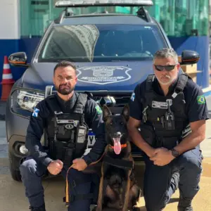 Guarda Municipal ganha novo cão farejador para reforçar segurança