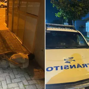 Homem é preso após invadir Escola Pública de Trânsito em Balneário Camboriú