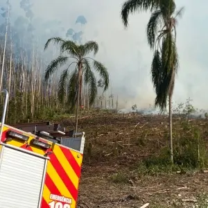 Incêndio em vegetação mobiliza bombeiros e helicóptero em Canelinha