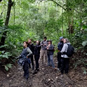 ‘Vem Passarinhar Itapema!’ encerra Semana do Meio Ambiente com sucesso