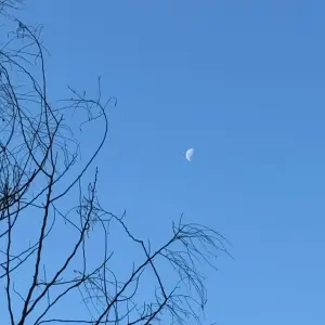 Major Gercino registrou 4,9 graus, Tijucas atinge mínima de 10.9