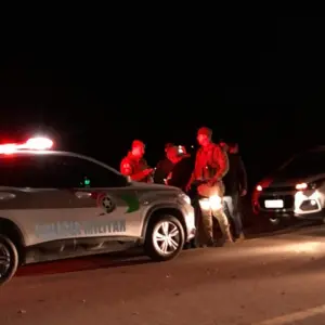 Carro colide com bovino solto na SC-410 em Canelinha