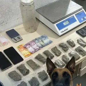 Cão farejador encontra meio quilo de maconha em Itapema