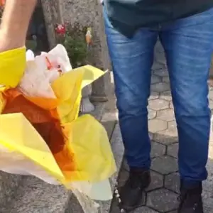 ALERTA: Focos de mosquito da dengue encontrados em cemitérios de Tijucas