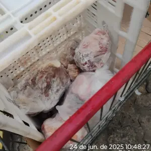 Mais de 620 kg de carne imprópria são apreendidos em Itapema