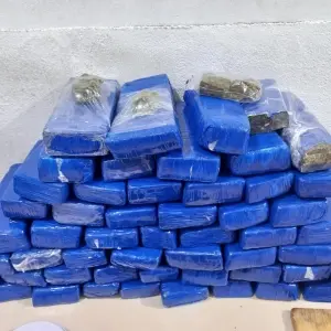 Operação apreende mais de 45 kg de maconha e prende quatro pessoas em Itapema