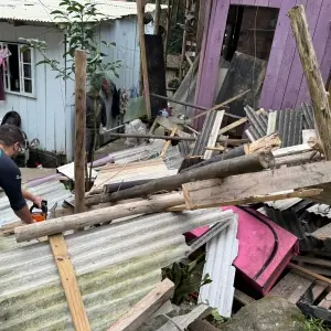 Força-tarefa remove construções irregulares em área de preservação em Itapema