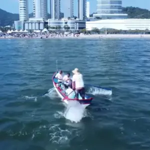 BC celebra fim da pesca da tainha com Arrancadão de Canoas e show do Dazaranha