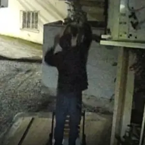 Inacreditável: homem invade casa e furta planta rabo-de-macaco