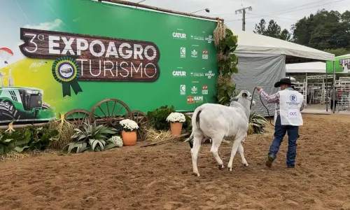 Expositores e visitantes aprovam terceira edição da Expo Agro Turismo