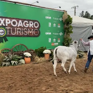 Expositores e visitantes aprovam terceira edição da Expo Agro Turismo