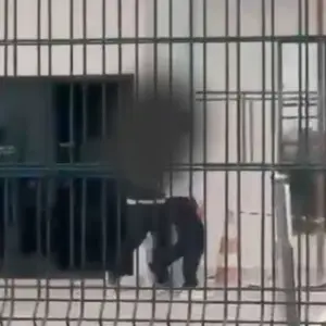 MPSC recorre da soltura de homem preso com quase 200 kg de drogas 