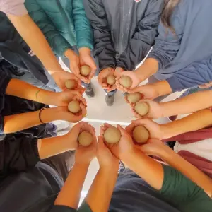 Alunos de Porto Belo participam de aula prática sobre a Mata Atlântica