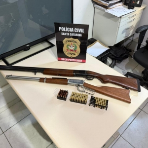 Armas são apreendidas para proteger vítima de violência doméstica  
