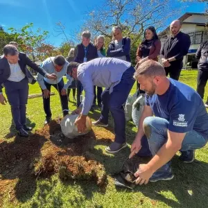 Balneário Camboriú lança plano para plantar mil árvores em um ano