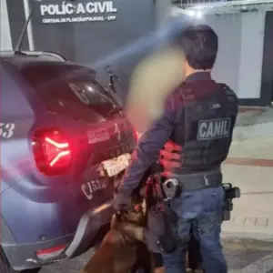 Homem é preso por furto de fiação elétrica em Balneário Camboriú