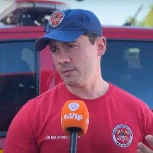 Enxames de abelhas em migração preocupam moradores de Tijucas  
