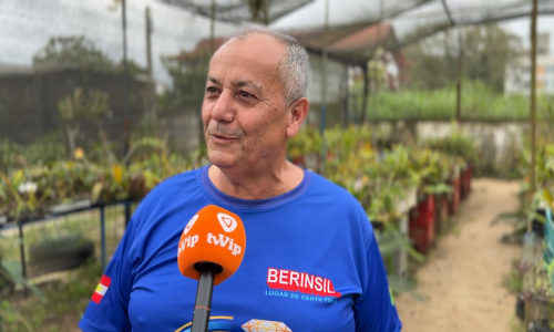 Comerciante transforma quintal de casa em santuário botânico 