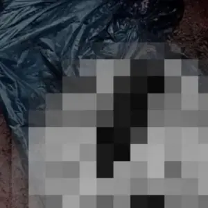 Polícia Civil esclarece descarte de animais mortos em cemitério