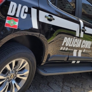 Suspeito de furtar 19 ovelhas é preso durante operação policial