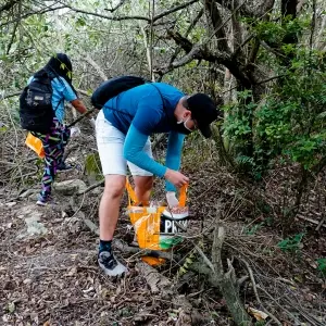 Mutirões de limpeza e doação de mudas integram programação de novembro em praias da região