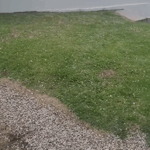 Temporal com granizo causa transtornos em São João Batista e Nova Trento