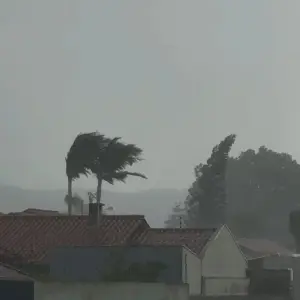 Previsão confirmada: fortes chuvas e ventos atingem Tijucas 