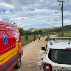 Criança escapa ilesa após cavalo ser eletrocutado por fio