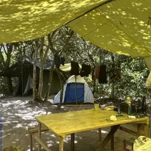 Fiscalização identifica e desmonta acampamentos irregulares em áreas de restinga