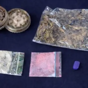 Cão farejador localiza drogas em malas durante fiscalização em rodoviária da região