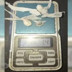 Homem é detido por ameaça à família e posse de drogas