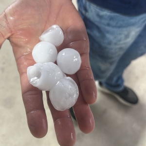 Após alertas de tempestades na região, Nova Trento registra queda de granizo
