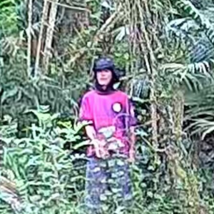 Importunação sexual; suspeito reincide em bairro residencial