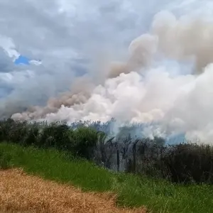 VÍDEO ▶️ | Área afetada por incêndio às margens da BR-101 foi de 65mil m²