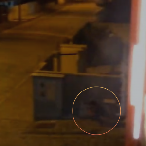 Câmera de segurança  flagra homem defecando em via pública 